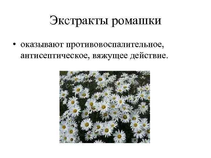 Экстракты ромашки • оказывают противовоспалительное, антисептическое, вяжущее действие. 