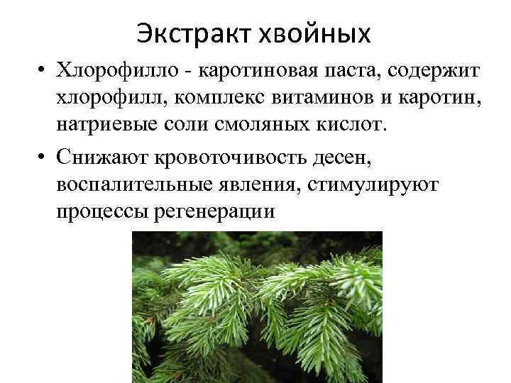 Экстракт хвойных • Хлорофилло - каротиновая паста, содержит хлорофилл, комплекс витаминов и каротин, натриевые