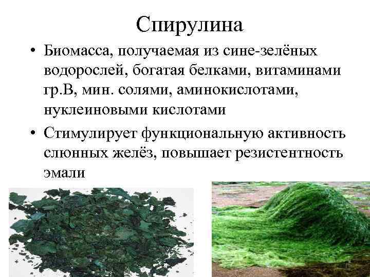 Спирулина • Биомасса, получаемая из сине-зелёных водорослей, богатая белками, витаминами гр. В, мин. солями,