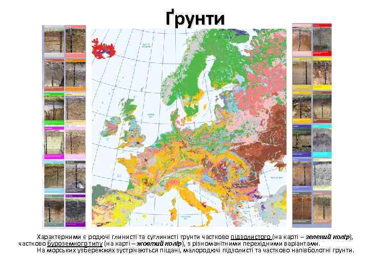 Ґрунти Характерними є родючі глинисті та суглинисті грунти частково підзолистого (на карті – зелений