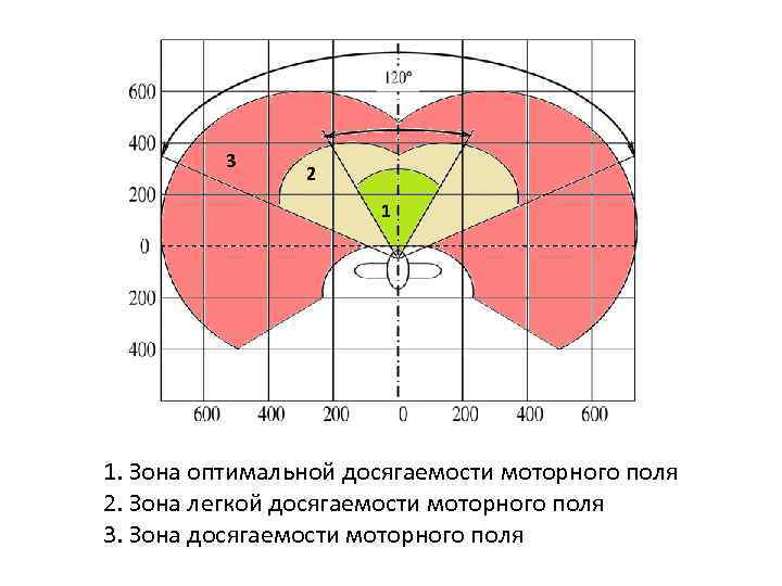 Оптимальная зона. Оптимальная зона досягаемости в моторном поле это. Зоны досягаемости эргономика. Зоны моторного поля. Оптимальная зона моторного поля.