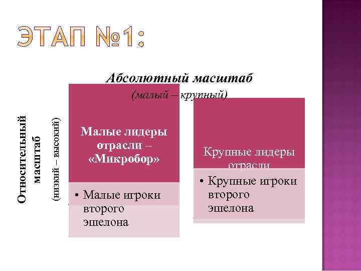 Абсолютный масштаб (низкий – высокий) Относительный масштаб (малый – крупный) Малые лидеры отрасли –