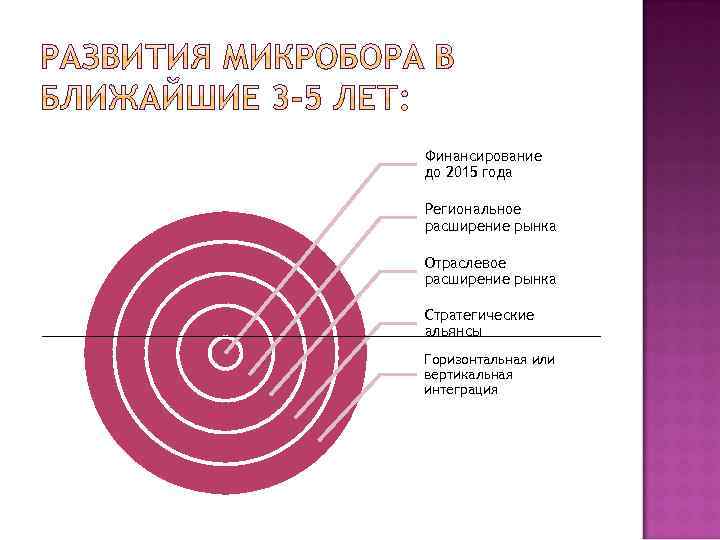 Финансирование до 2015 года Региональное расширение рынка Отраслевое расширение рынка Стратегические альянсы Горизонтальная или