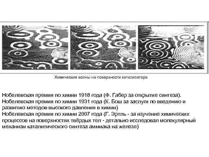 Химические волны на поверхности катализатора Нобелевская премия по химии 1918 года (Ф. Габер за