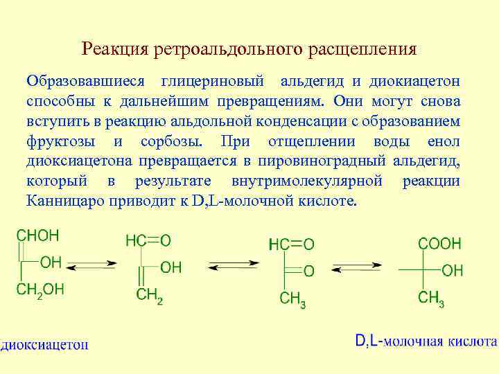 Реакция ретроальдольного расщепления Образовавшиеся глицериновый альдегид и диокиацетон способны к дальнейшим превращениям. Они могут