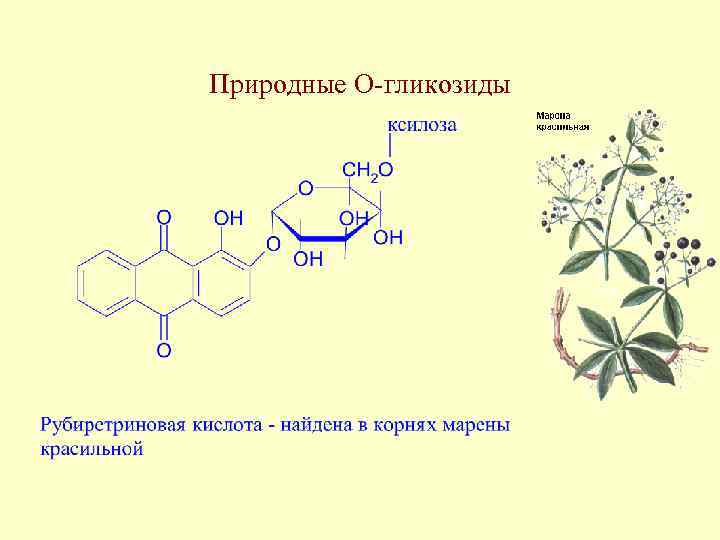 Природные О-гликозиды 