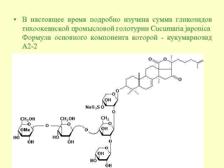  • В настоящее время подробно изучена сумма гликозидов тихоокеанской промысловой голотурии Cucumaria japonica