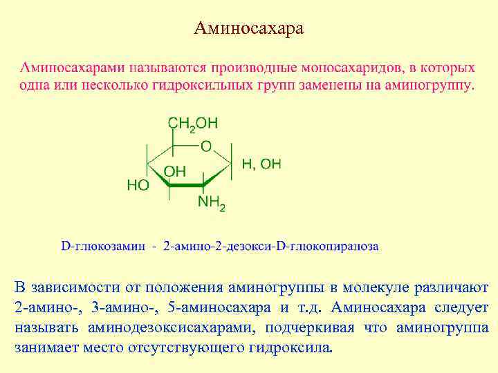 Аминосахара В зависимости от положения аминогруппы в молекуле различают 2 -амино-, 3 -амино-, 5