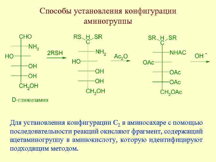 Способы установления конфигурации аминогруппы Для установления конфигурации С 2 в аминосахаре с помощью последовательности