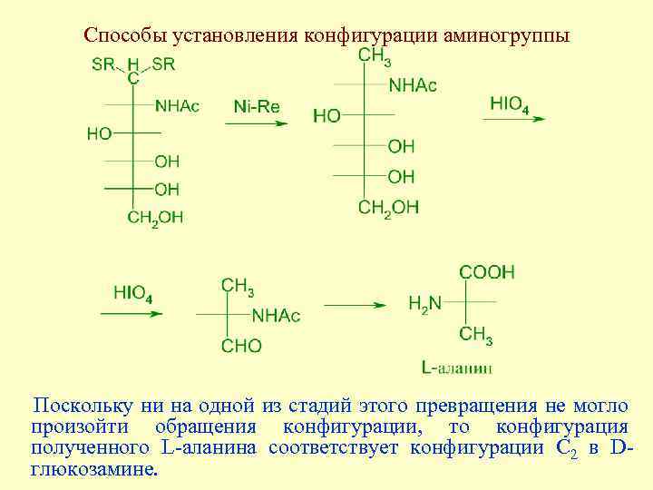 Способы установления конфигурации аминогруппы Поскольку ни на одной из стадий этого превращения не могло