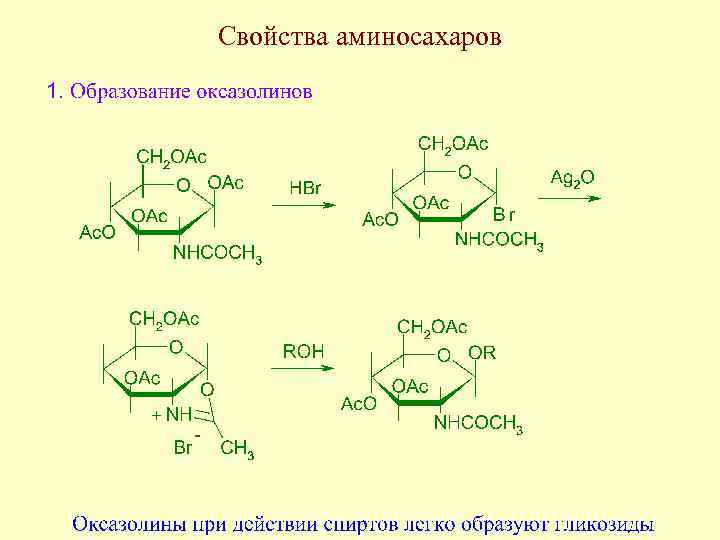 Свойства аминосахаров 