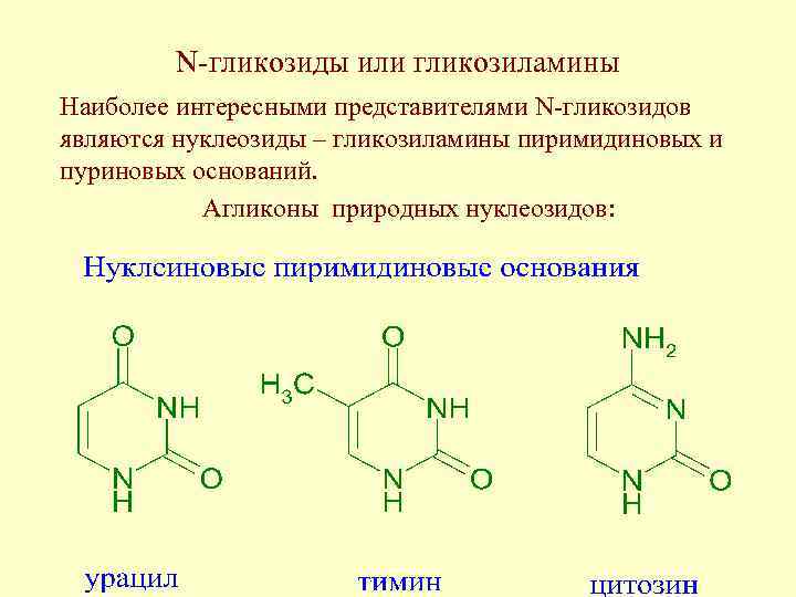 N-гликозиды или гликозиламины Наиболее интересными представителями N-гликозидов являются нуклеозиды – гликозиламины пиримидиновых и пуриновых