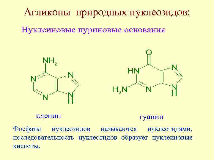 Химия природных соединений
