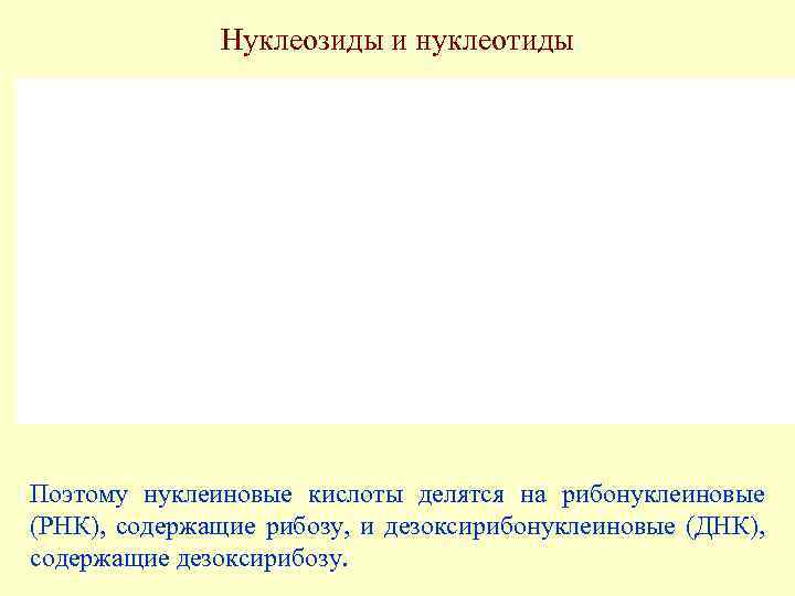 Нуклеозиды и нуклеотиды Поэтому нуклеиновые кислоты делятся на рибонуклеиновые (РНК), содержащие рибозу, и дезоксирибонуклеиновые