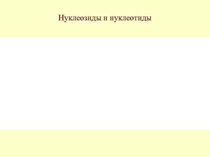 Нуклеозиды и нуклеотиды 