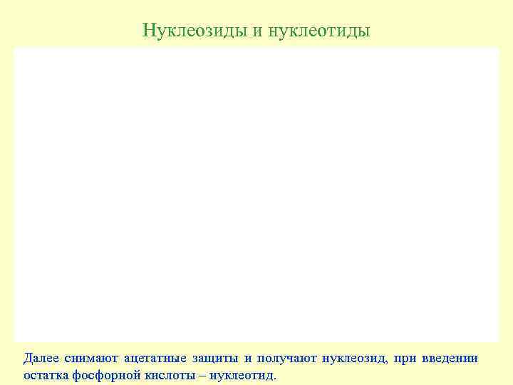 Нуклеозиды и нуклеотиды Далее снимают ацетатные защиты и получают нуклеозид, при введении остатка фосфорной