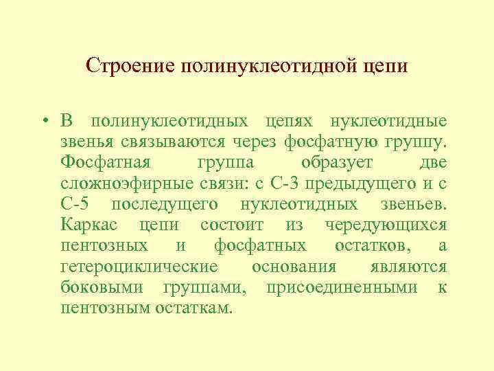 Строение полинуклеотидной цепи • В полинуклеотидных цепях нуклеотидные звенья связываются через фосфатную группу. Фосфатная