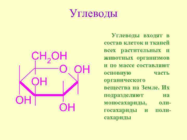 Углеводы Углеводы входят в состав клеток и тканей всех растительных и животных организмов и