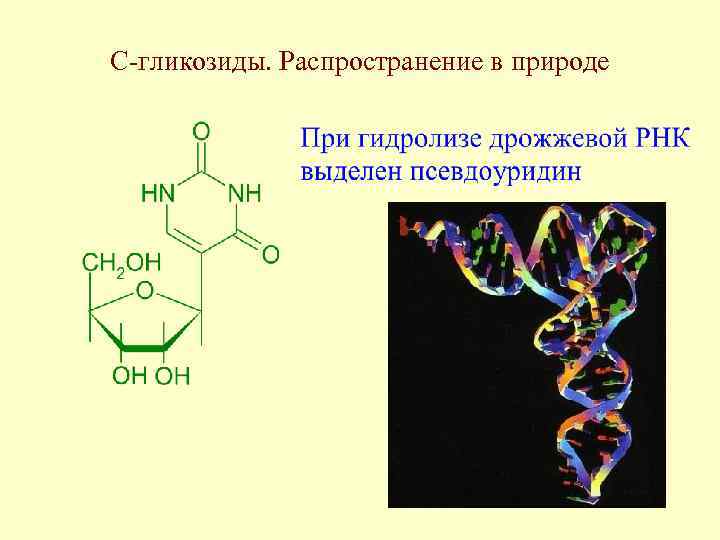 С-гликозиды. Распространение в природе 