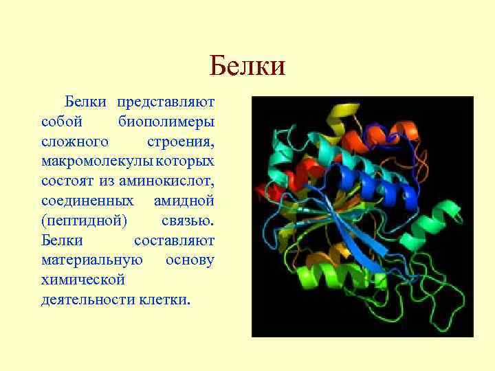 Белки как природные биополимеры проект