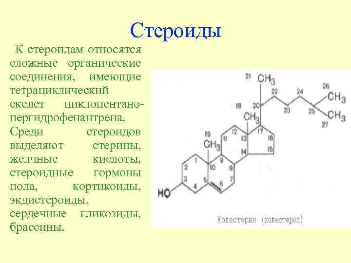 Стероиды К стероидам относятся сложные органические соединения, имеющие тетрациклический скелет циклопентанопергидрофенантрена. Среди стероидов выделяют