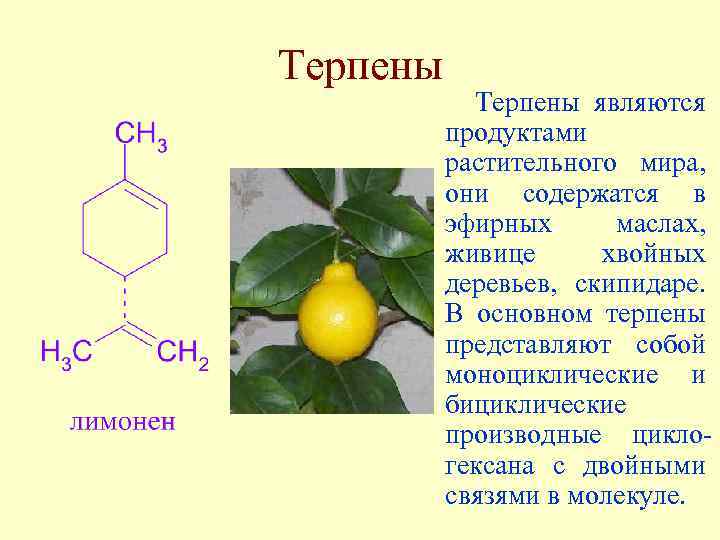 Терпены Терпены являются продуктами растительного мира, они содержатся в эфирных маслах, живице хвойных деревьев,