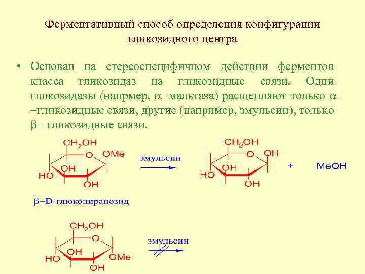 Ферментативный способ определения конфигурации гликозидного центра • Основан на стереоспецифичном действии ферментов класса гликозидаз