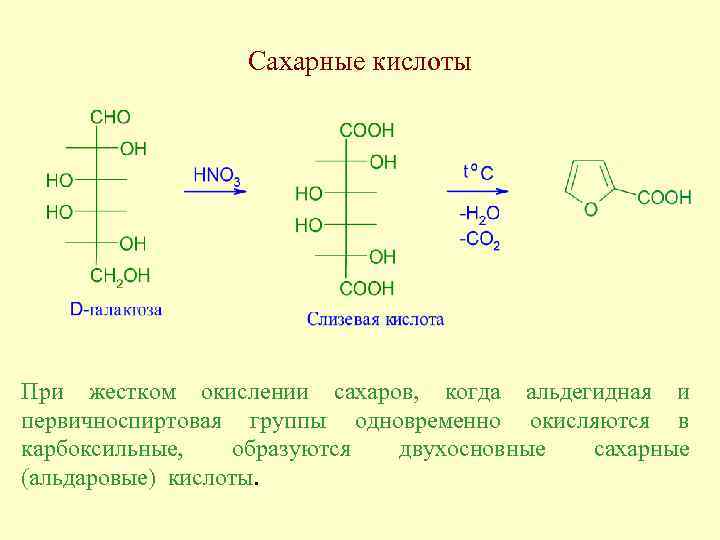 Окисление природных соединений. Сахарная кислота формула структурная. Сахарная кислота получение. Слизевая кислота формула. Синтез слизевой кислоты из галактозы.