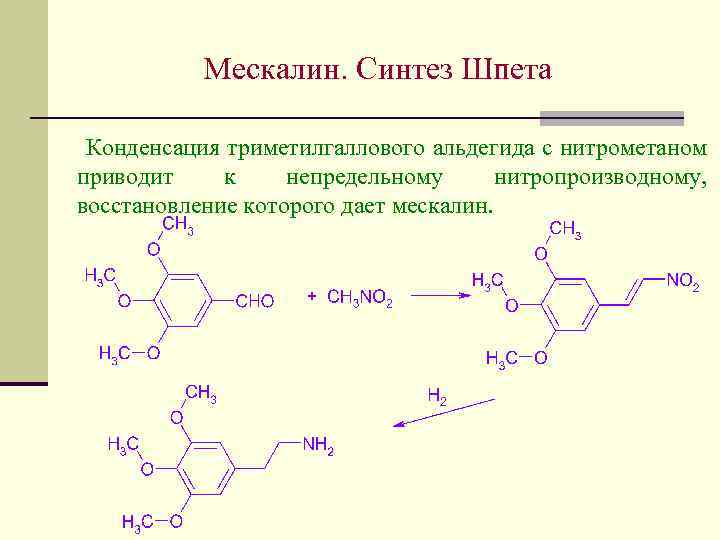 Мескалин. Синтез Шпета Конденсация триметилгаллового альдегида с нитрометаном приводит к непредельному нитропроизводному, восстановление которого