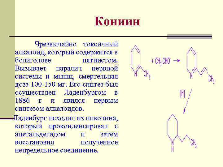 Кониин Чрезвычайно токсичный алкалоид, который содержится в болиголове пятнистом. Вызывает паралич нервной системы и