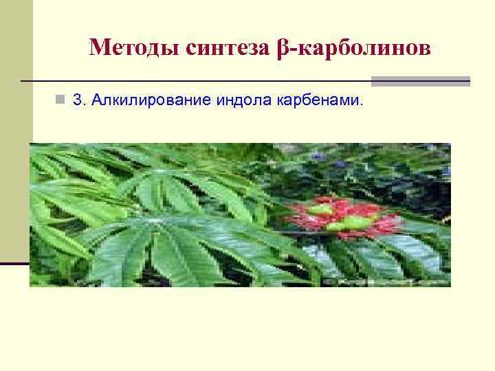 Методы синтеза β-карболинов n 3. Алкилирование индола карбенами. 