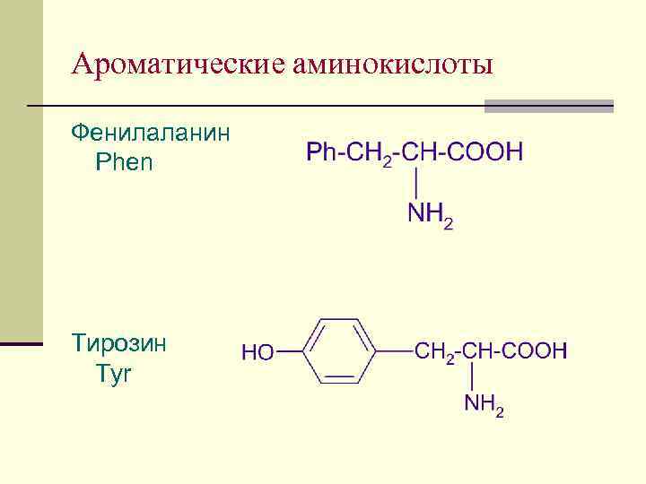 Ароматические аминокислоты Фенилаланин Phen Тирозин Tyr 