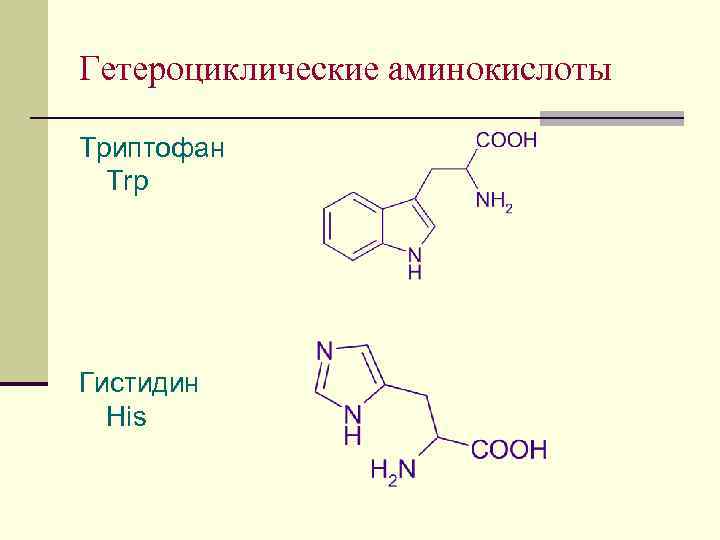 Гетероциклические аминокислоты Триптофан Trp Гистидин His 