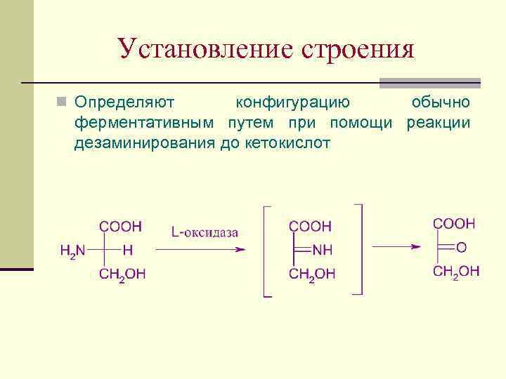 Установление строения n Определяют конфигурацию обычно ферментативным путем при помощи реакции дезаминирования до кетокислот