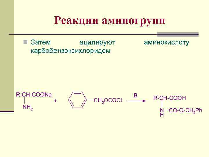 Реакции аминогрупп n Затем ацилируют карбобензоксихлоридом аминокислоту 