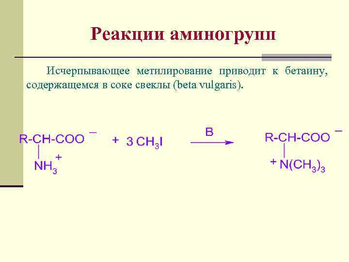 Реакция на белок что значит. Исчерпывающее метилирование. Исчерпывающее метилирование аммиака. Исчерпывающего метилирование. Исчерпывающее n метилирование.