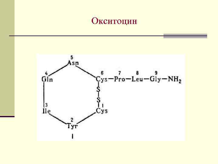 Окситоцин 