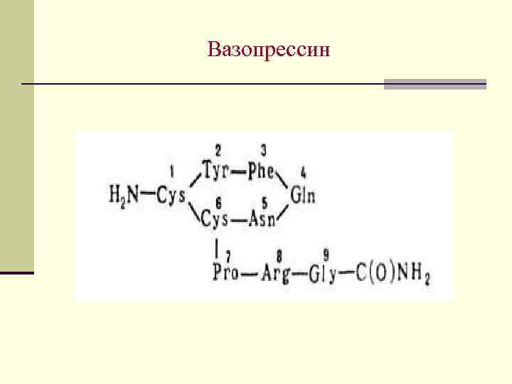 Вазопрессин 