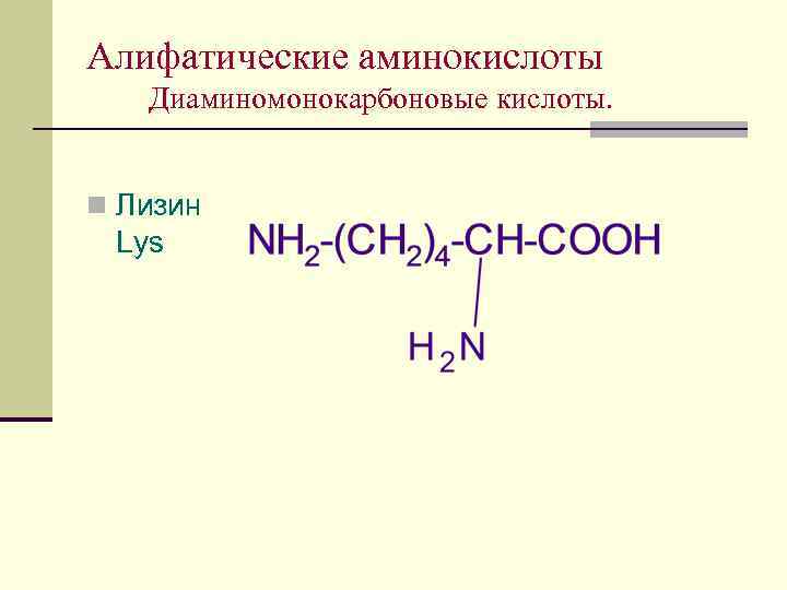 Алифатические аминокислоты Диаминомонокарбоновые кислоты. n Лизин Lys 