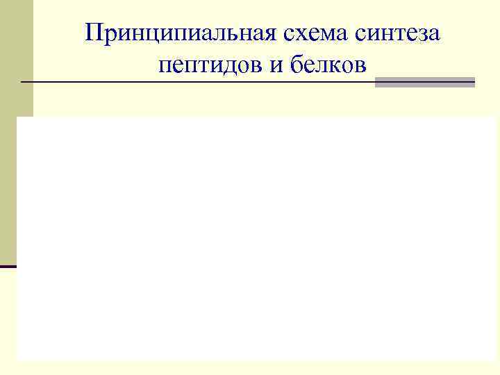 Принципиальная схема синтеза пептидов и белков 