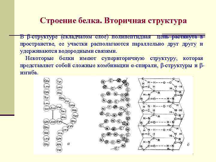 Связь поддерживающая вторичную структуру