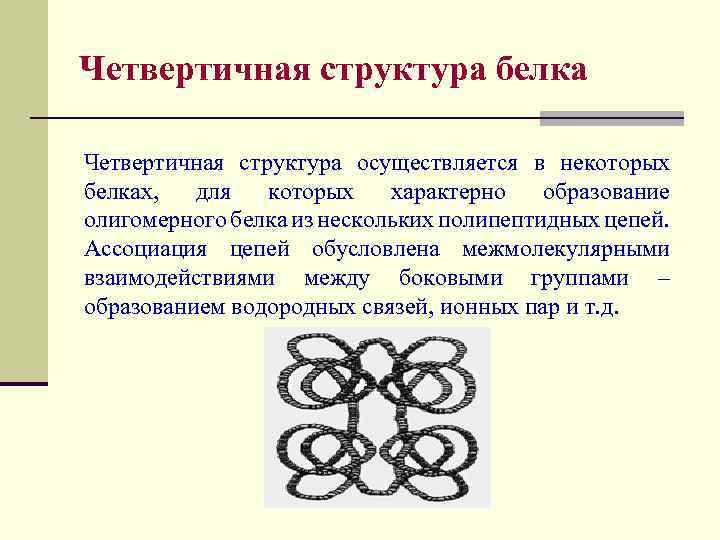 Четвертичные белки. Образование четвертичной структуры белка. Характеристика четвертичной структуры белка. Четвертичная структура белка связи. Четвертичная структура белков обусловлена связями.