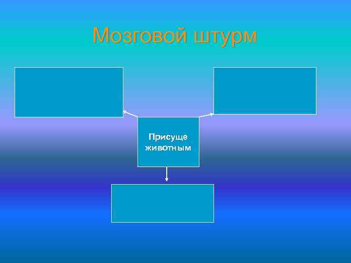 Мозговой штурм Присуще животным 