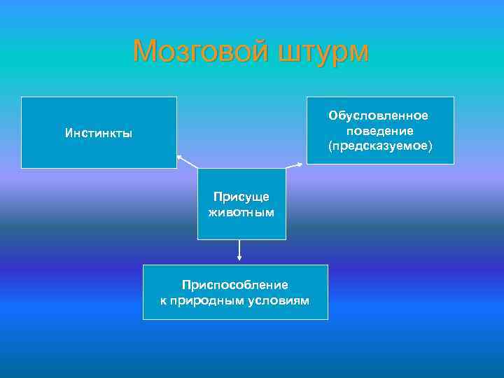 Мозговой штурм Обусловленное поведение (предсказуемое) Инстинкты Присуще животным Приспособление к природным условиям 