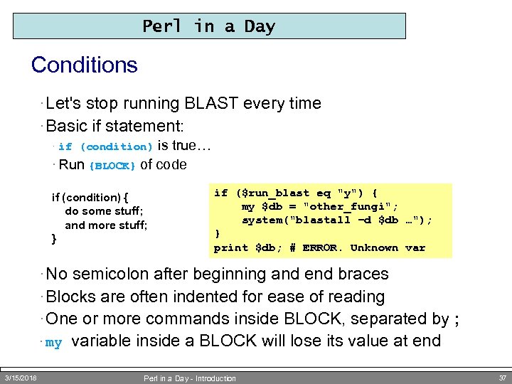 Perl in a Day Conditions · Let's stop running BLAST every time · Basic