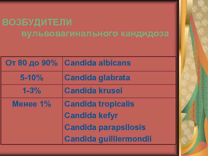 ВОЗБУДИТЕЛИ вульвовагинального кандидоза От 80 до 90% Candida albicans 5 -10% Candida glabrata 1