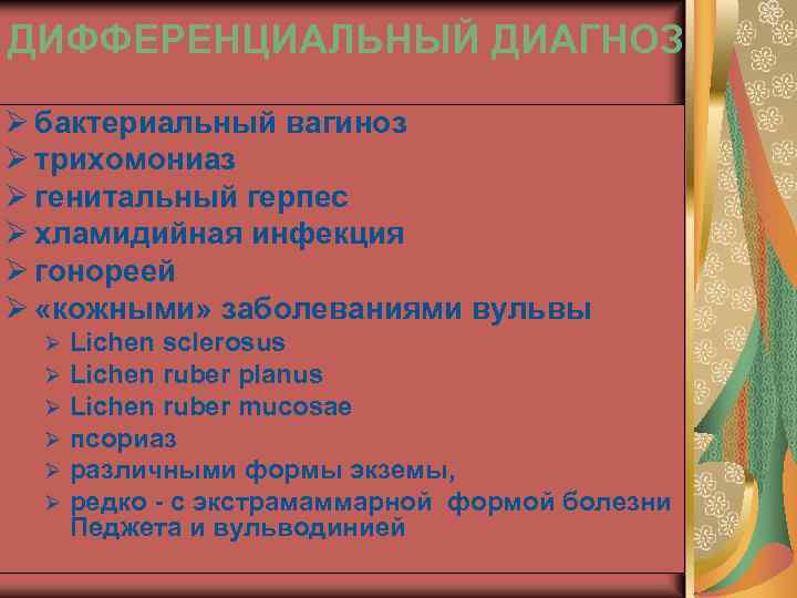 ДИФФЕРЕНЦИАЛЬНЫЙ ДИАГНОЗ Ø бактериальный вагиноз Ø трихомониаз Ø генитальный герпес Ø хламидийная инфекция Ø