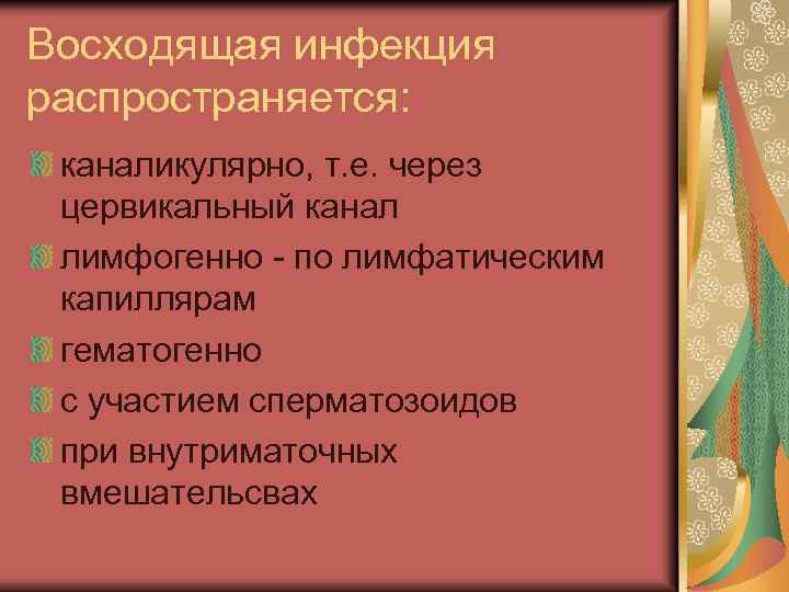 Восходящая инфекция распространяется: каналикулярно, т. е. через цервикальный канал лимфогенно - по лимфатическим капиллярам