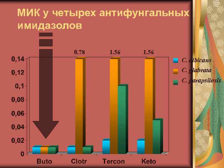 МИК у четырех антифунгальных имидазолов 0. 78 1. 56 C. albicans C. glabrata C.