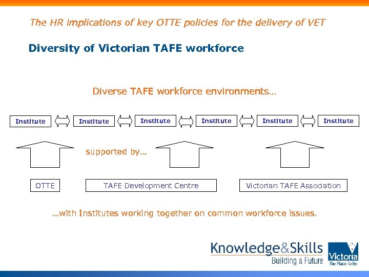 The HR implications of key OTTE policies for the delivery of VET Diversity of